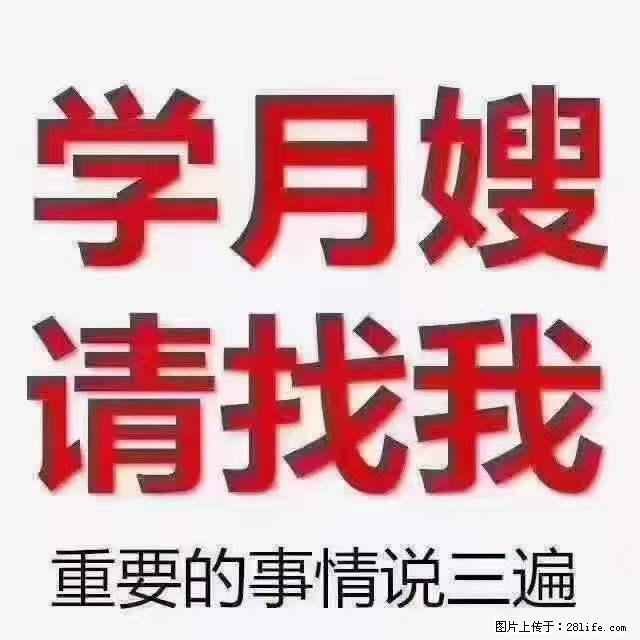为什么要学习月嫂,育婴师? - 其他广告 - 广告专区 - 正定分类信息 - 正定28生活网 zd.28life.com