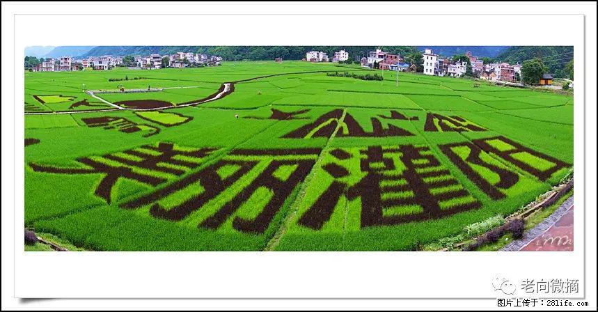 【春天，广西桂林灌阳县向您发出邀请！】开篇 - 游山玩水 - 正定生活社区 - 正定28生活网 zd.28life.com