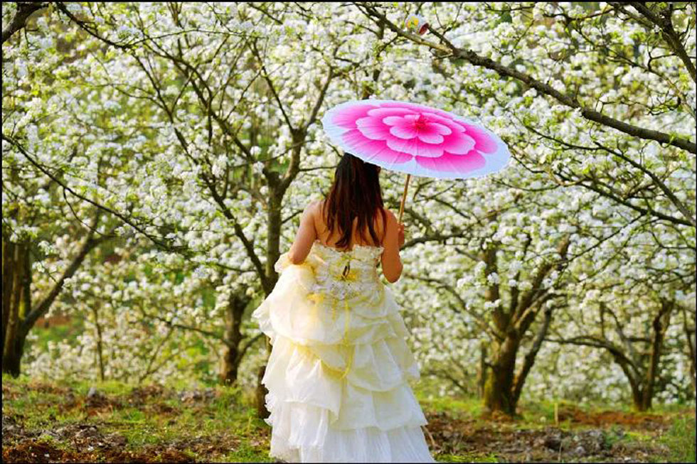 【春天,广西桂林灌阳县向您发出邀请!】我们在灌阳看梨花 - 游山玩水 - 正定生活社区 - 正定28生活网 zd.28life.com