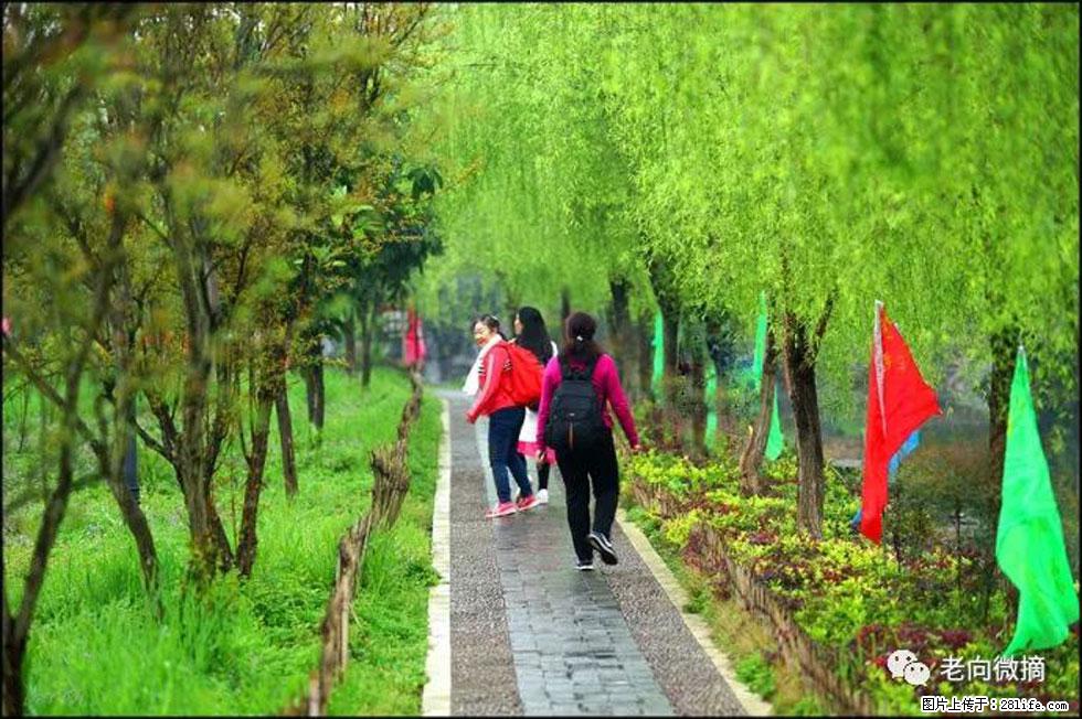 【春天，广西桂林灌阳县向您发出邀请！】江口老街又逢春 - 游山玩水 - 正定生活社区 - 正定28生活网 zd.28life.com