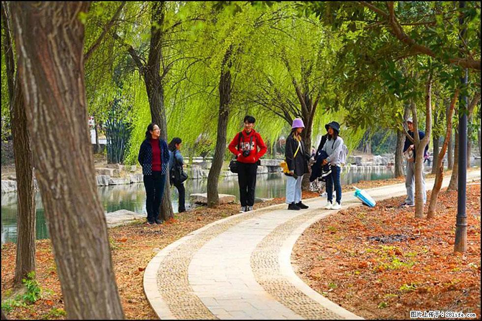 【春天，广西桂林灌阳县向您发出邀请！】江口老街又逢春 - 游山玩水 - 正定生活社区 - 正定28生活网 zd.28life.com