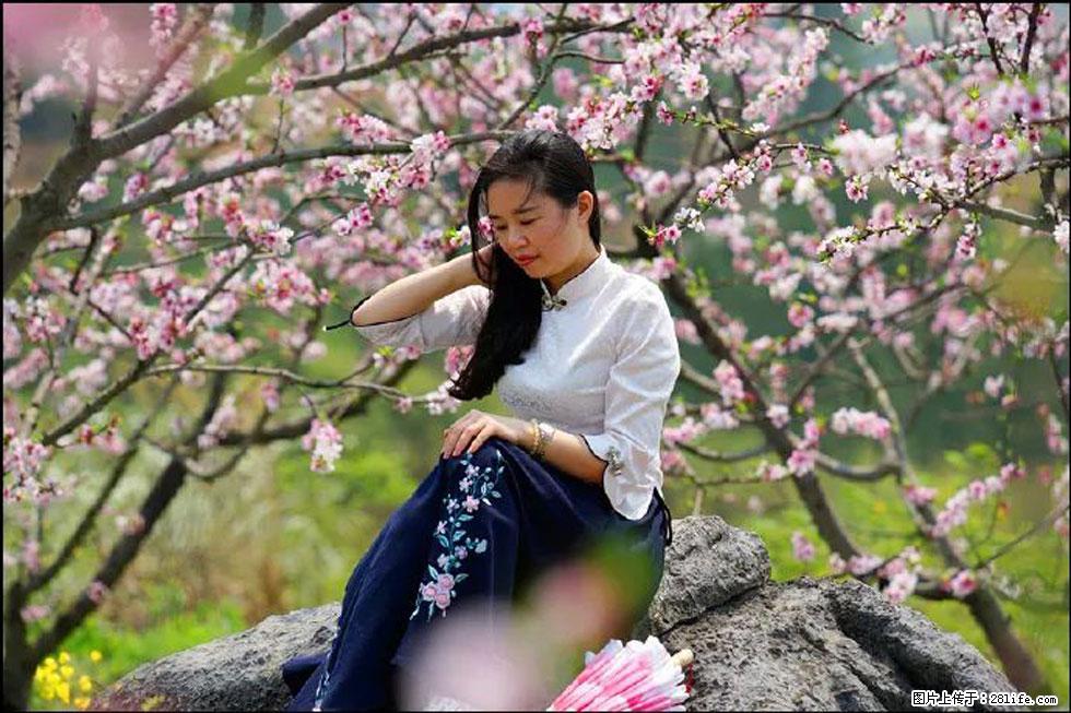 【春天,广西桂林灌阳县向您发出邀请!】望月岭上桃花开 - 游山玩水 - 正定生活社区 - 正定28生活网 zd.28life.com