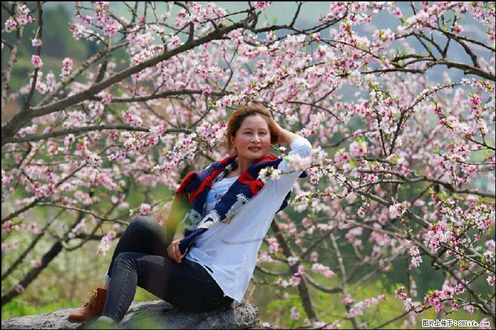 【春天,广西桂林灌阳县向您发出邀请!】望月岭上桃花开 - 游山玩水 - 正定生活社区 - 正定28生活网 zd.28life.com