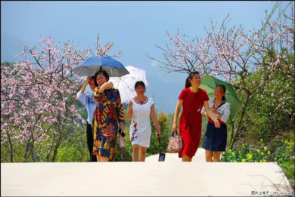 【春天,广西桂林灌阳县向您发出邀请!】望月岭上桃花开 - 游山玩水 - 正定生活社区 - 正定28生活网 zd.28life.com