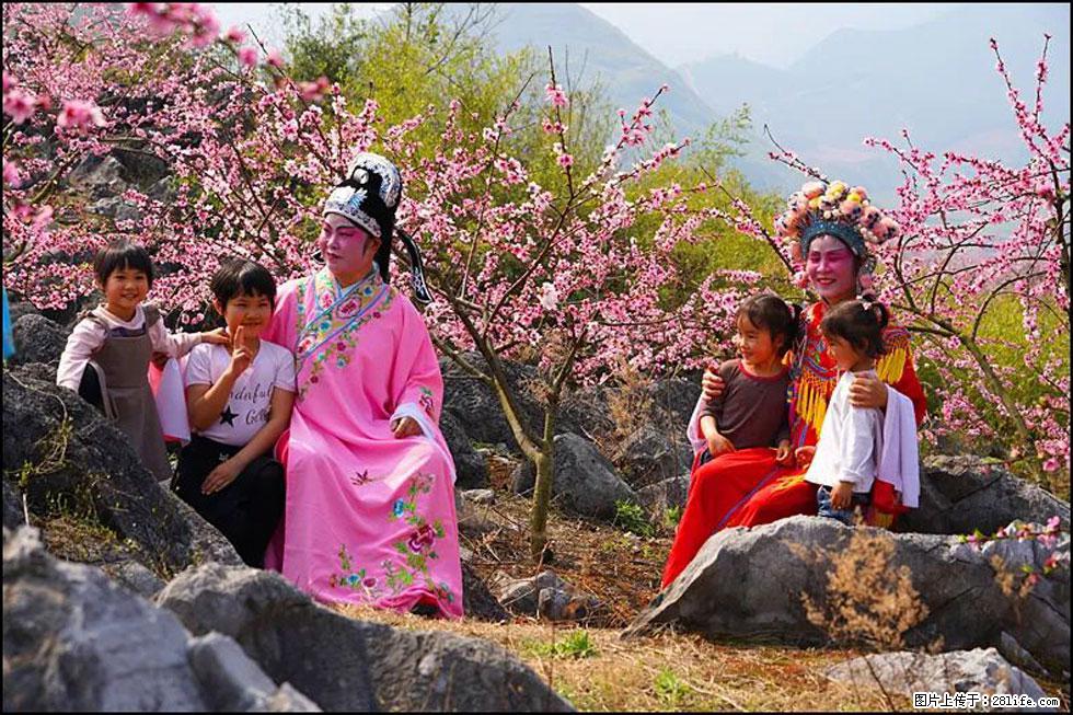 【春天,广西桂林灌阳县向您发出邀请!】望月岭上桃花开 - 游山玩水 - 正定生活社区 - 正定28生活网 zd.28life.com