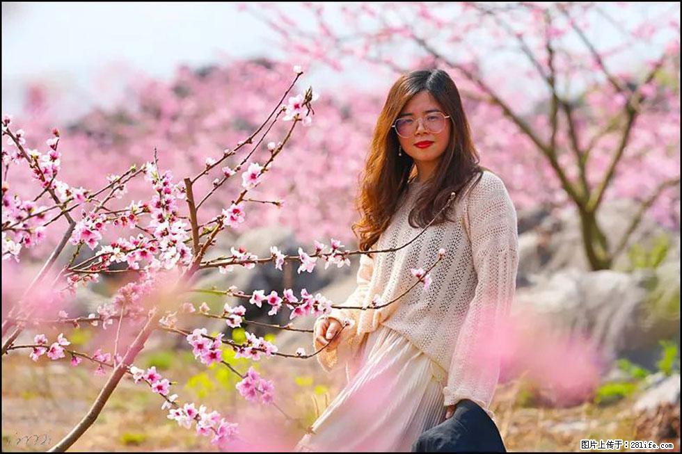 【春天,广西桂林灌阳县向您发出邀请!】望月岭上桃花开 - 游山玩水 - 正定生活社区 - 正定28生活网 zd.28life.com