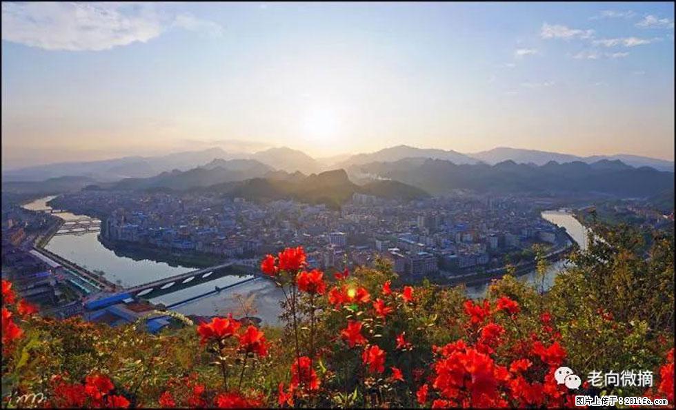 【春天，广西桂林灌阳县向您发出邀请！】登麒麟山，相约映山红 - 游山玩水 - 正定生活社区 - 正定28生活网 zd.28life.com