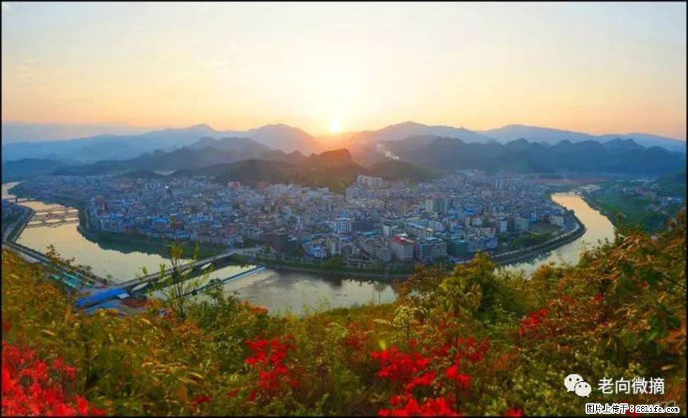 【春天，广西桂林灌阳县向您发出邀请！】登麒麟山，相约映山红 - 游山玩水 - 正定生活社区 - 正定28生活网 zd.28life.com