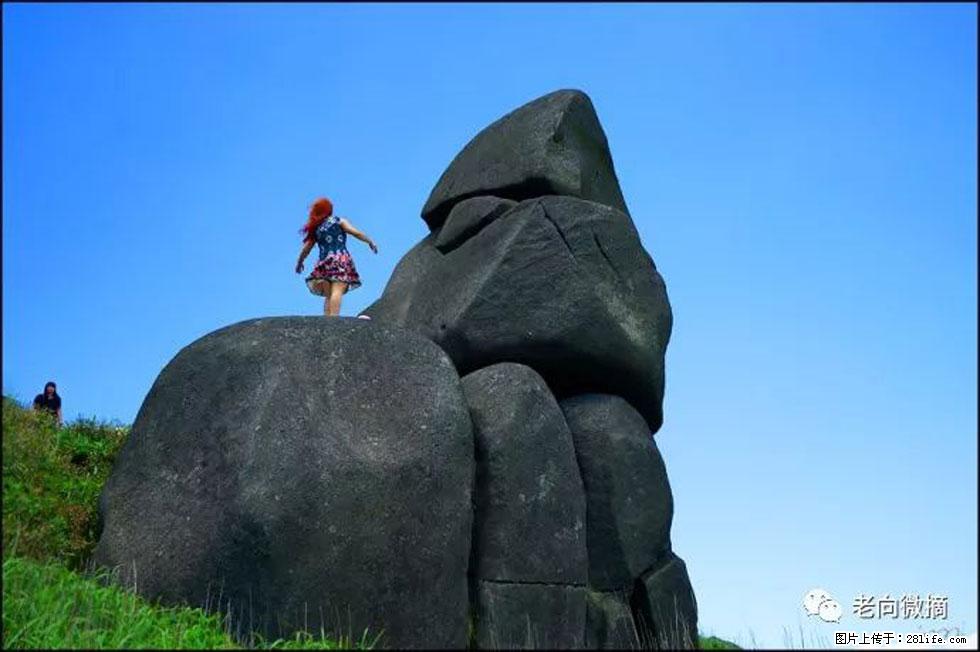 【春天，广西桂林灌阳县向您发出邀请！】宝盖山上映山红 - 游山玩水 - 正定生活社区 - 正定28生活网 zd.28life.com