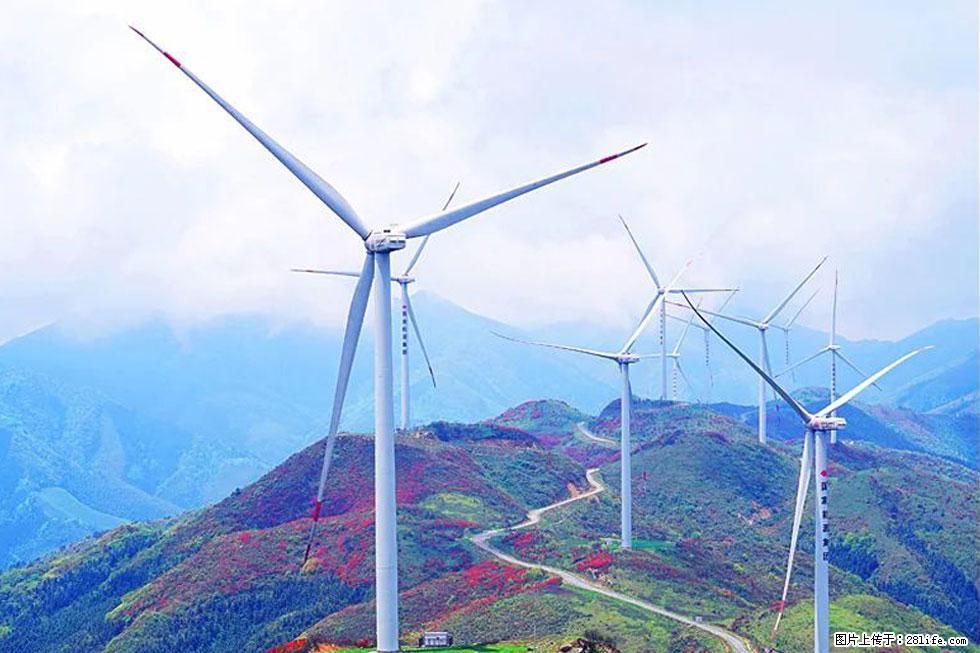 【春天，广西桂林灌阳县向您发出邀请！】春木界上映山红 - 游山玩水 - 正定生活社区 - 正定28生活网 zd.28life.com