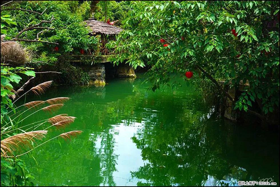 【春天,广西桂林灌阳县向您发出邀请!】如梦似幻莲溪庐 - 游山玩水 - 正定生活社区 - 正定28生活网 zd.28life.com