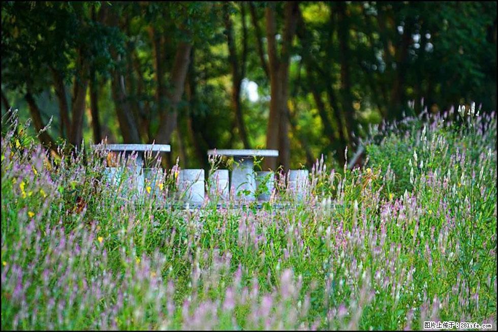 【春天,广西桂林灌阳县向您发出邀请!】熊家寨湿地公园 - 游山玩水 - 正定生活社区 - 正定28生活网 zd.28life.com