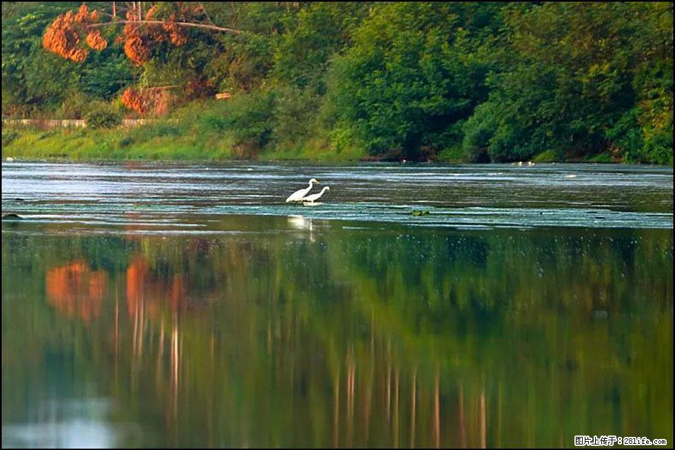 【春天,广西桂林灌阳县向您发出邀请!】熊家寨湿地公园 - 游山玩水 - 正定生活社区 - 正定28生活网 zd.28life.com