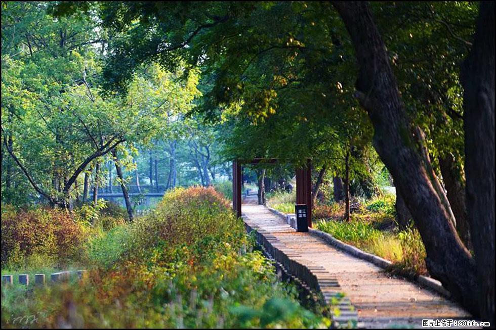 【春天,广西桂林灌阳县向您发出邀请!】熊家寨湿地公园 - 游山玩水 - 正定生活社区 - 正定28生活网 zd.28life.com