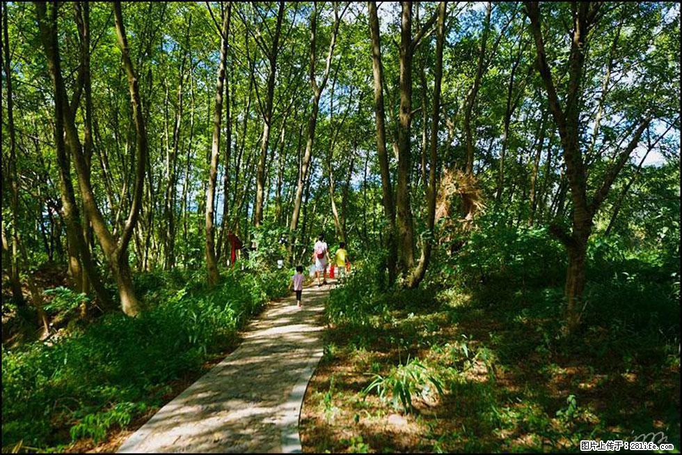 【春天,广西桂林灌阳县向您发出邀请!】熊家寨湿地公园 - 游山玩水 - 正定生活社区 - 正定28生活网 zd.28life.com