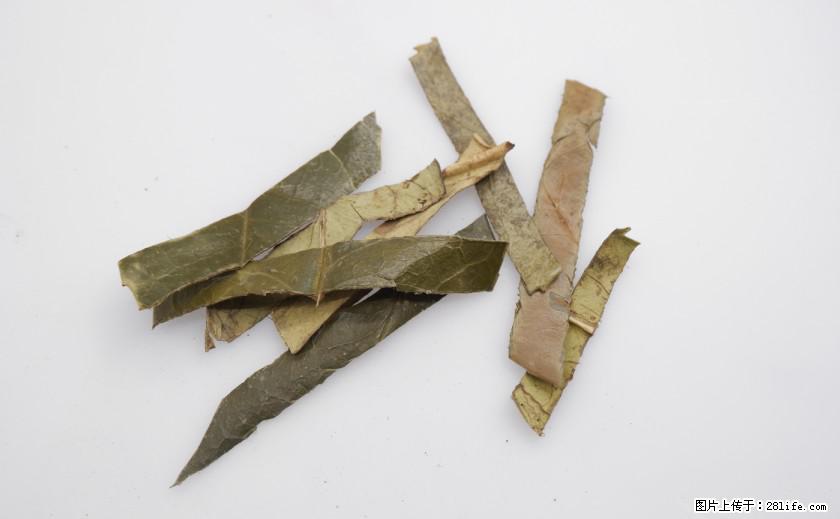 苦丁茶有哪些功效和作用 - 生活百科 - 正定生活社区 - 正定28生活网 zd.28life.com