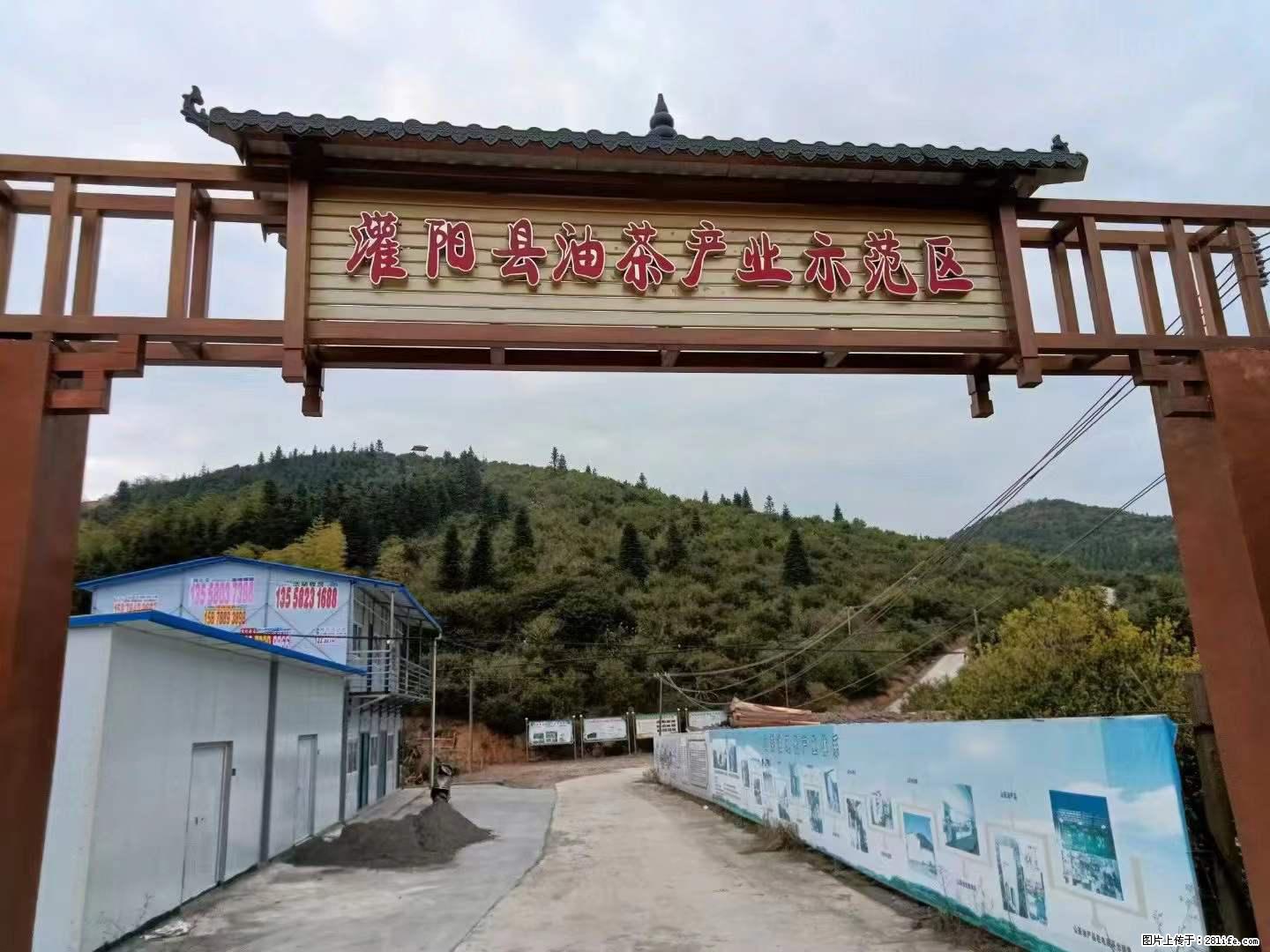 【灌阳县油茶产业示范区】一个有着充实的精神生活的人，对待身外之物自会有一种淡泊的态度 - 土特产 - 饮食特产 - 正定分类信息 - 正定28生活网 zd.28life.com