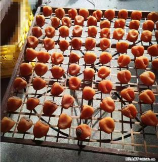 广西桂林平乐桥亭【柿饼之乡】2025年纯手工制作、无任何添加剂的第一批柿饼准备上市了，欢迎联系订购！ - 正定28生活网 zd.28life.com