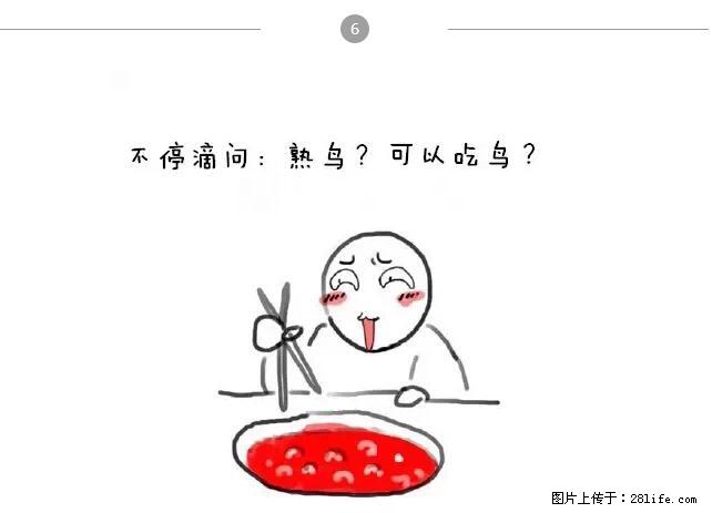 千万不要和这9种哈卵一起吃火锅！ - 美食天地 - 正定生活社区 - 正定28生活网 zd.28life.com