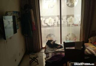 金河花园 2室2厅1卫 - 正定28生活网 zd.28life.com