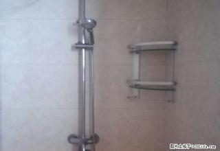 (单间出租)正定镇金河花园 3室2厅 主卧 朝南 中等装修 - 正定28生活网 zd.28life.com