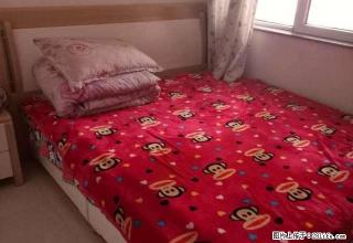 金河花园 3室2厅1卫 - 正定28生活网 zd.28life.com