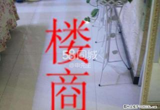 盛世华安 1室1厅1卫 - 正定28生活网 zd.28life.com