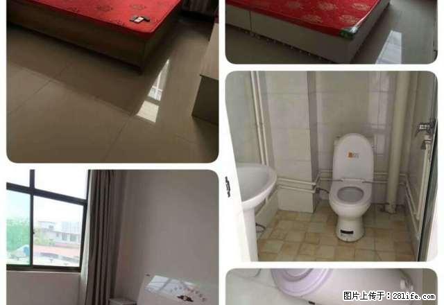 金星小区 1室1厅1卫 - 房屋出租 - 房屋租售 - 正定分类信息 - 正定28生活网 zd.28life.com