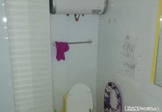 金河国际公寓-D座 1室1厅1卫 - 正定28生活网 zd.28life.com