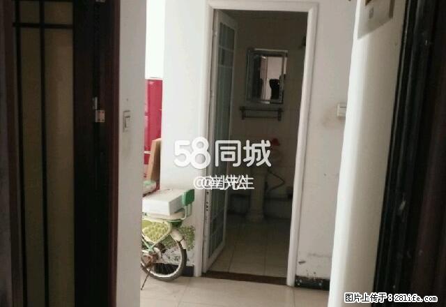 金河花园 2室1厅1卫 - 房屋出租 - 房屋租售 - 正定分类信息 - 正定28生活网 zd.28life.com