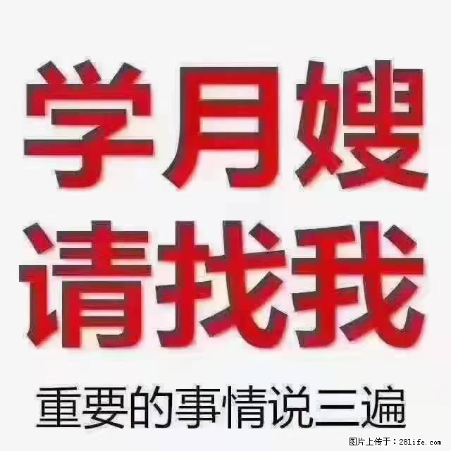 【招聘】月嫂,上海徐汇区 - 职场交流 - 正定生活社区 - 正定28生活网 zd.28life.com