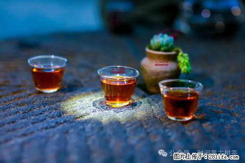 时间果百年古树2025年春红茶 - 购物交流 - 正定生活社区 - 正定28生活网 zd.28life.com