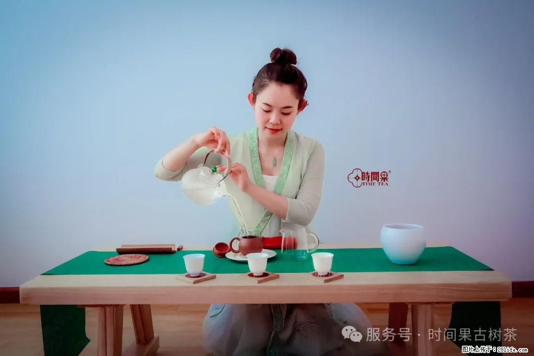 时间果百年古树龙珠普洱生茶 - 购物交流 - 正定生活社区 - 正定28生活网 zd.28life.com