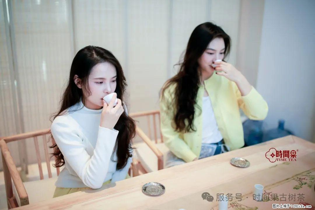 时间果百年古树龙珠普洱生茶 - 购物交流 - 正定生活社区 - 正定28生活网 zd.28life.com