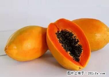 晕车、脚气、牙齿变黄、皮肤粗糙？学会这些三分钟搞定！ - 正定生活资讯 - 正定28生活网 zd.28life.com