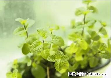 晕车、脚气、牙齿变黄、皮肤粗糙？学会这些三分钟搞定！ - 正定生活资讯 - 正定28生活网 zd.28life.com