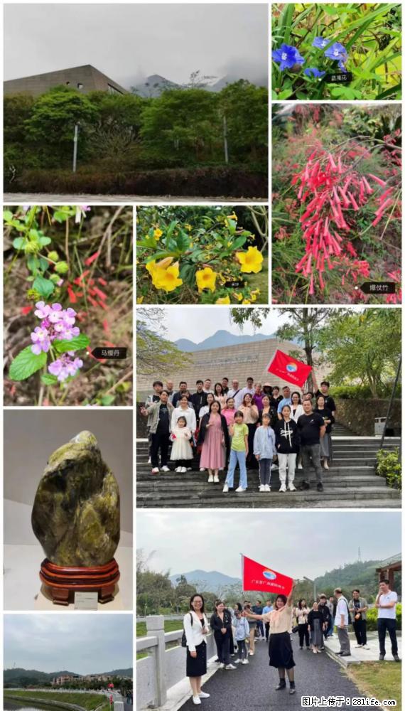 “粤灌文化 美好生活”油茶文化主题活动在广东深圳成功举办 - 正定生活资讯 - 正定28生活网 zd.28life.com