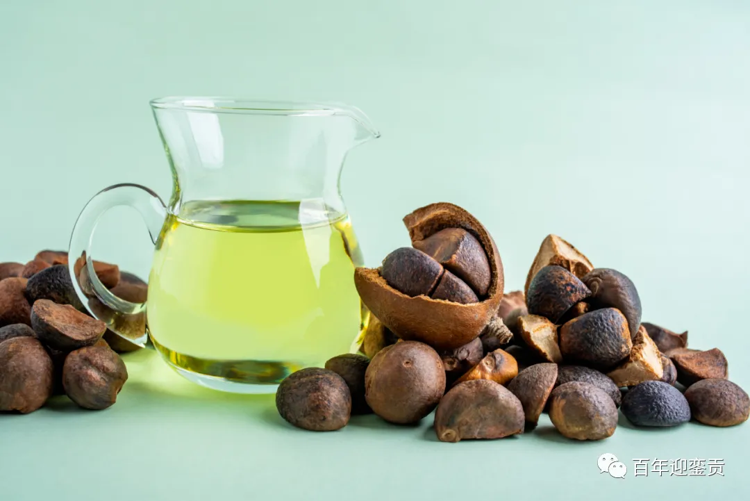 世界没有真相，只有认知，最好的食用油是中国的山茶油！ - 正定生活资讯 - 正定28生活网 zd.28life.com