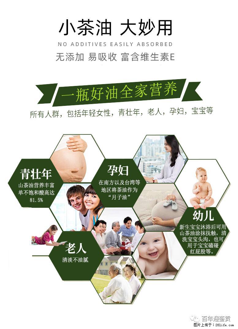 世界没有真相，只有认知，最好的食用油是中国的山茶油！ - 正定生活资讯 - 正定28生活网 zd.28life.com