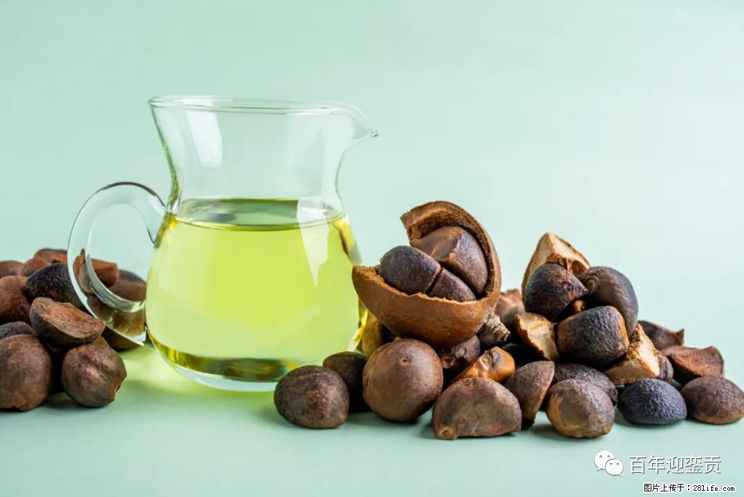 世界没有真相，只有认知，最好的食用油是中国的山茶油！ - 正定生活资讯 - 正定28生活网 zd.28life.com