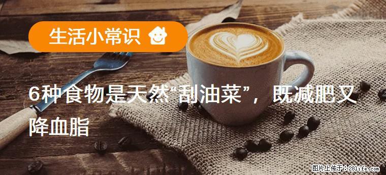【生活小常识】6种食物是天然“刮油菜”，既减肥又降血脂 - 正定生活资讯 - 正定28生活网 zd.28life.com