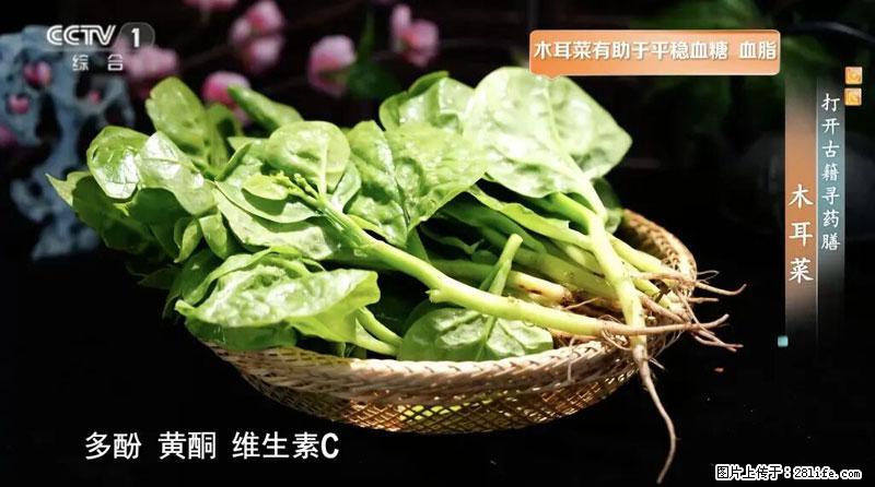 比牛奶补钙还厉害！凉血解毒、稳血糖...这菜冬天必吃，很多人却当草 - 正定生活资讯 - 正定28生活网 zd.28life.com
