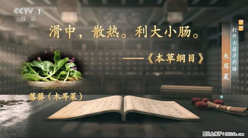 比牛奶补钙还厉害！凉血解毒、稳血糖...这菜冬天必吃，很多人却当草 - 正定生活资讯 - 正定28生活网 zd.28life.com