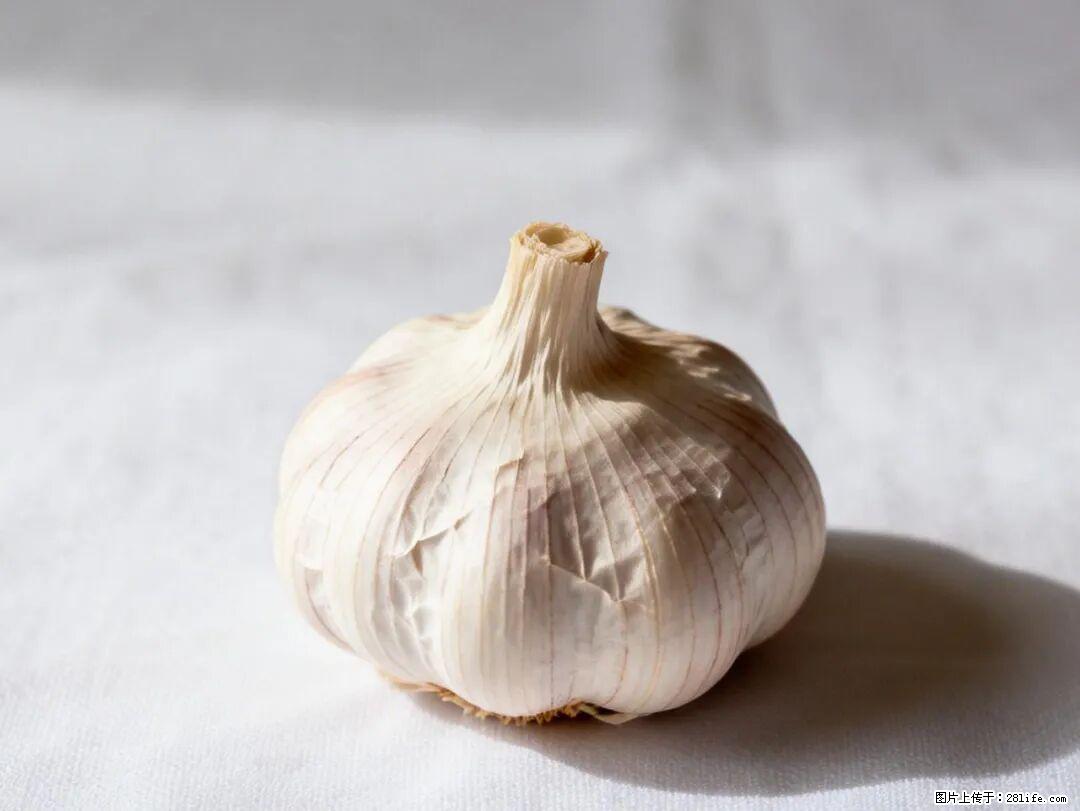 关于大蒜,除了“天然抗生素”,这4个谣言更该警惕! - 正定生活资讯 - 正定28生活网 zd.28life.com