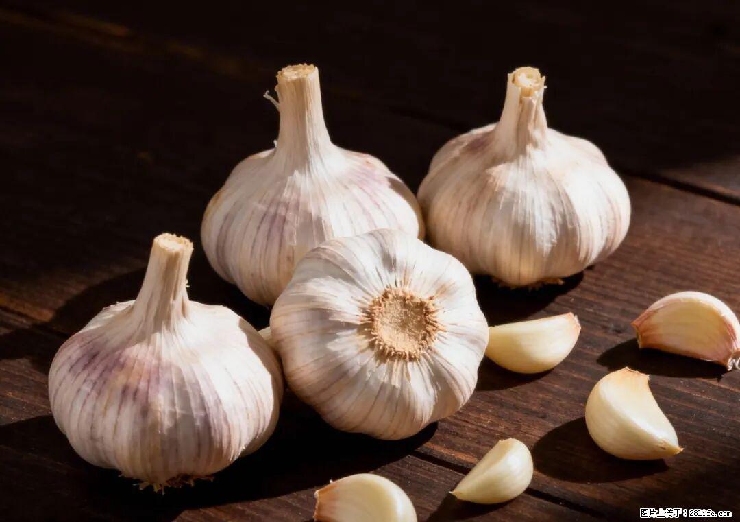 关于大蒜,除了“天然抗生素”,这4个谣言更该警惕! - 正定生活资讯 - 正定28生活网 zd.28life.com