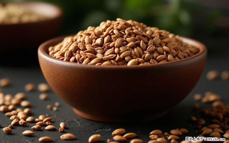 这三苦是三高“克星”，心血管干净不易堵！每天吃一点，指标慢慢降下来~ - 正定生活资讯 - 正定28生活网 zd.28life.com