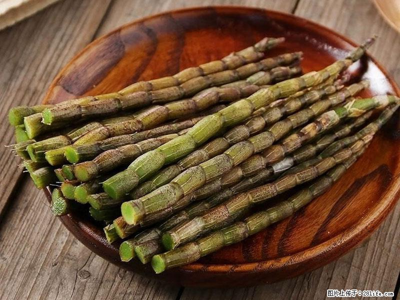 铁皮石斛的作用与功能主治 - 正定生活资讯 - 正定28生活网 zd.28life.com