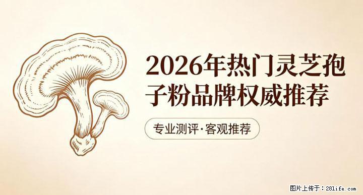灵芝孢子粉含量越高越有效？2026 年七款热门品牌深度实测，肠胃敏感者避坑指南 - 正定生活资讯 - 正定28生活网 zd.28life.com
