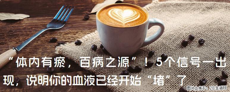 “体内有瘀，百病之源”！5个信号一出现，说明你的血液已经开始“堵”了 - 正定生活资讯 - 正定28生活网 zd.28life.com